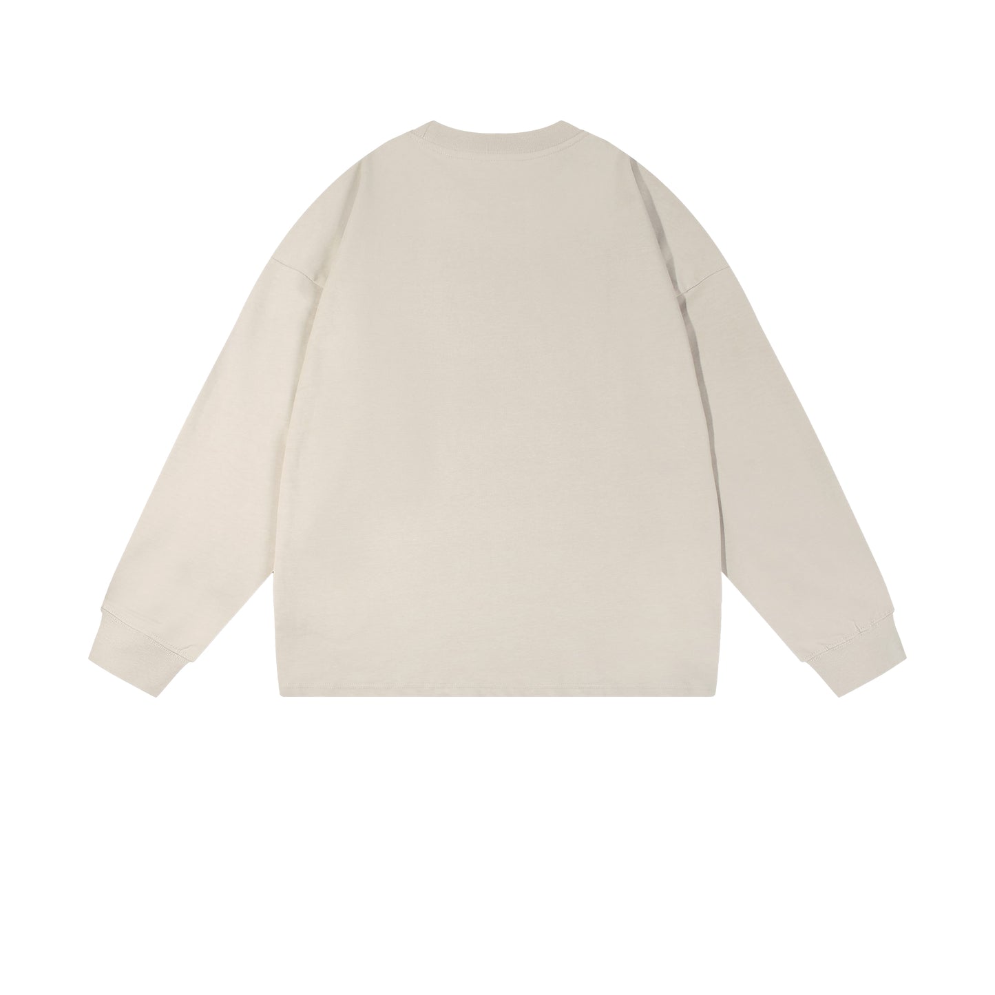 Heavy 350gsm Long Sleeve Earths T-Shirt - Adult