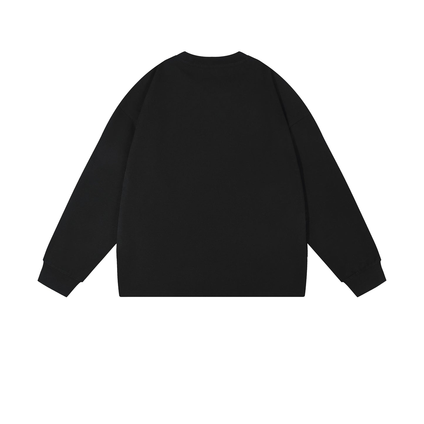 Heavy 350gsm Long Sleeve Earths T-Shirt - Adult