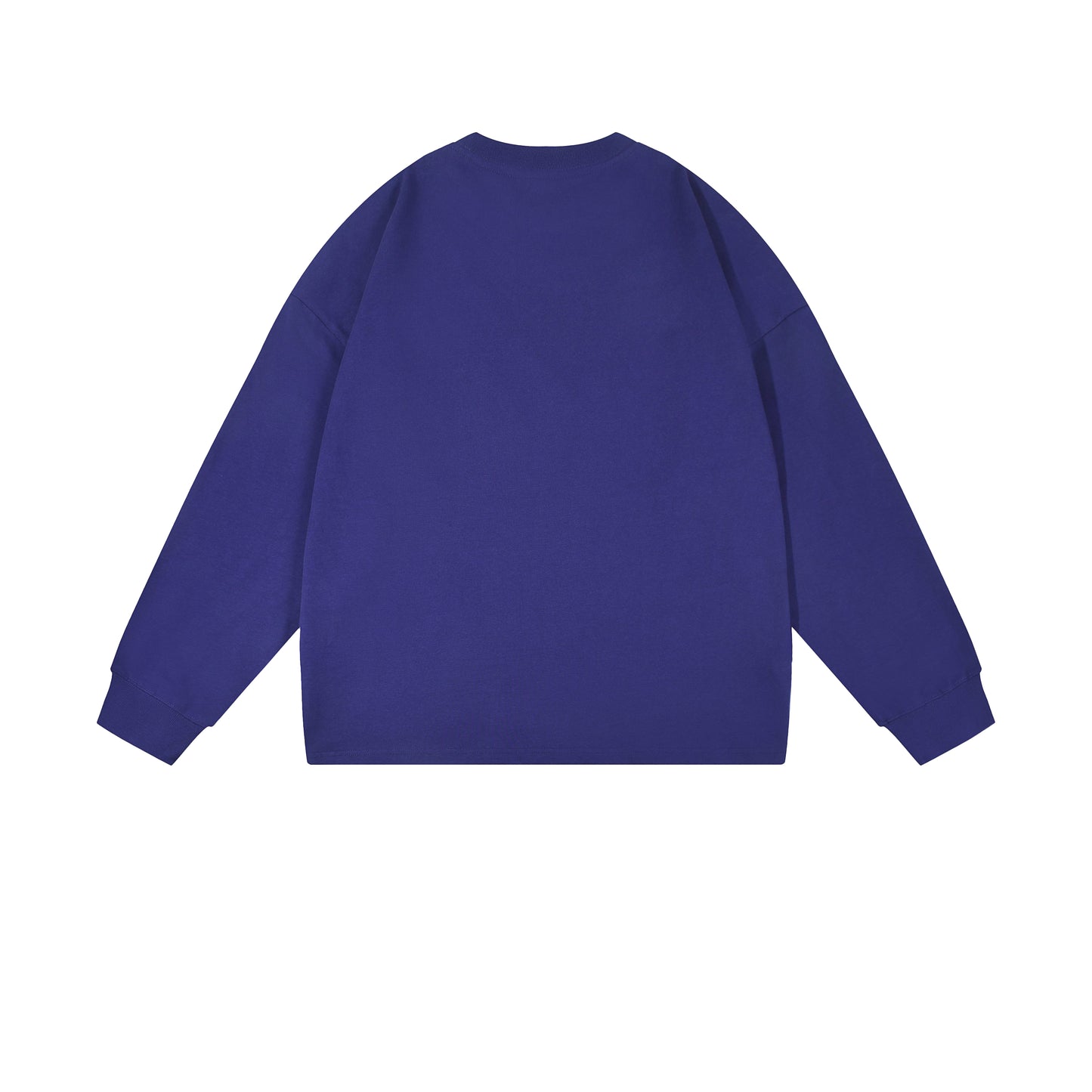 Heavy 350gsm Long Sleeve Earths T-Shirt - Adult