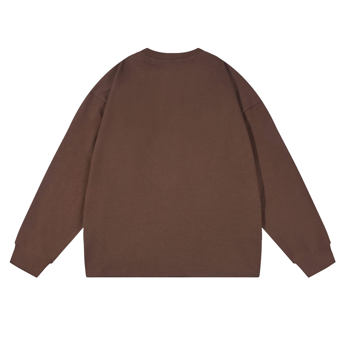 Heavy 350gsm Long Sleeve Earths T-Shirt - Adult