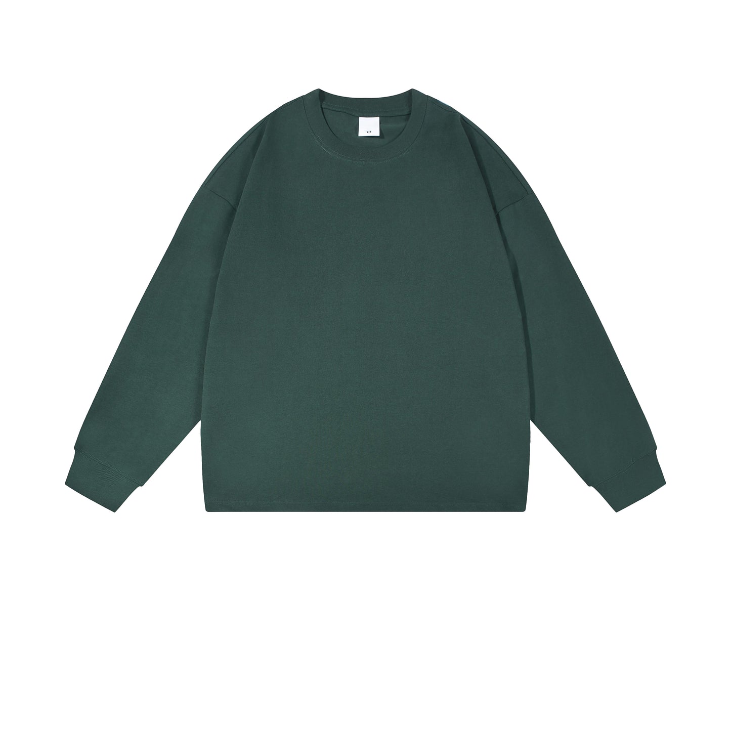 Heavy 350gsm Long Sleeve Earths T-Shirt - Adult