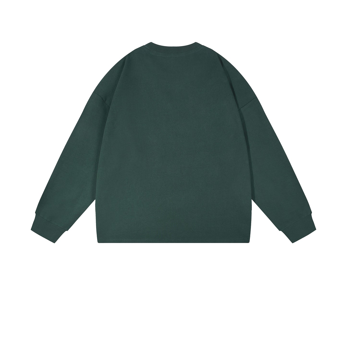 Heavy 350gsm Long Sleeve Earths T-Shirt - Adult