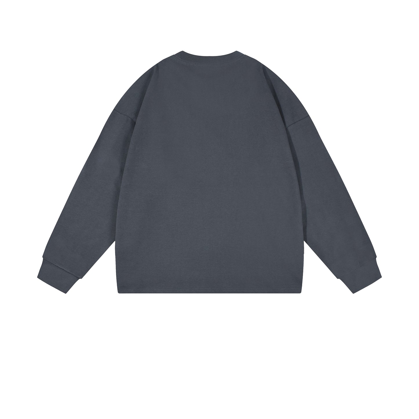 Heavy 350gsm Long Sleeve Earths T-Shirt - Adult