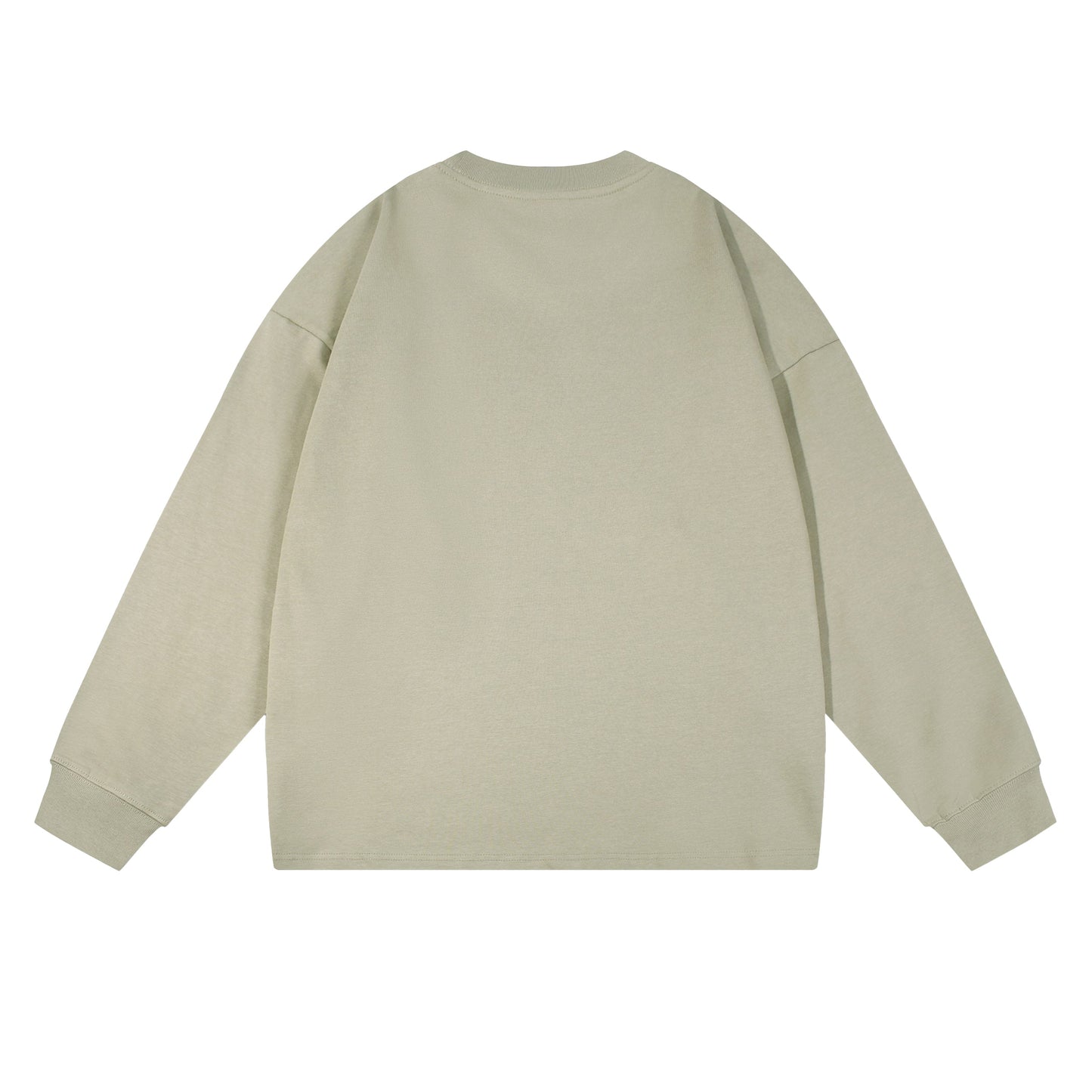 Heavy 350gsm Long Sleeve Earths T-Shirt - Adult