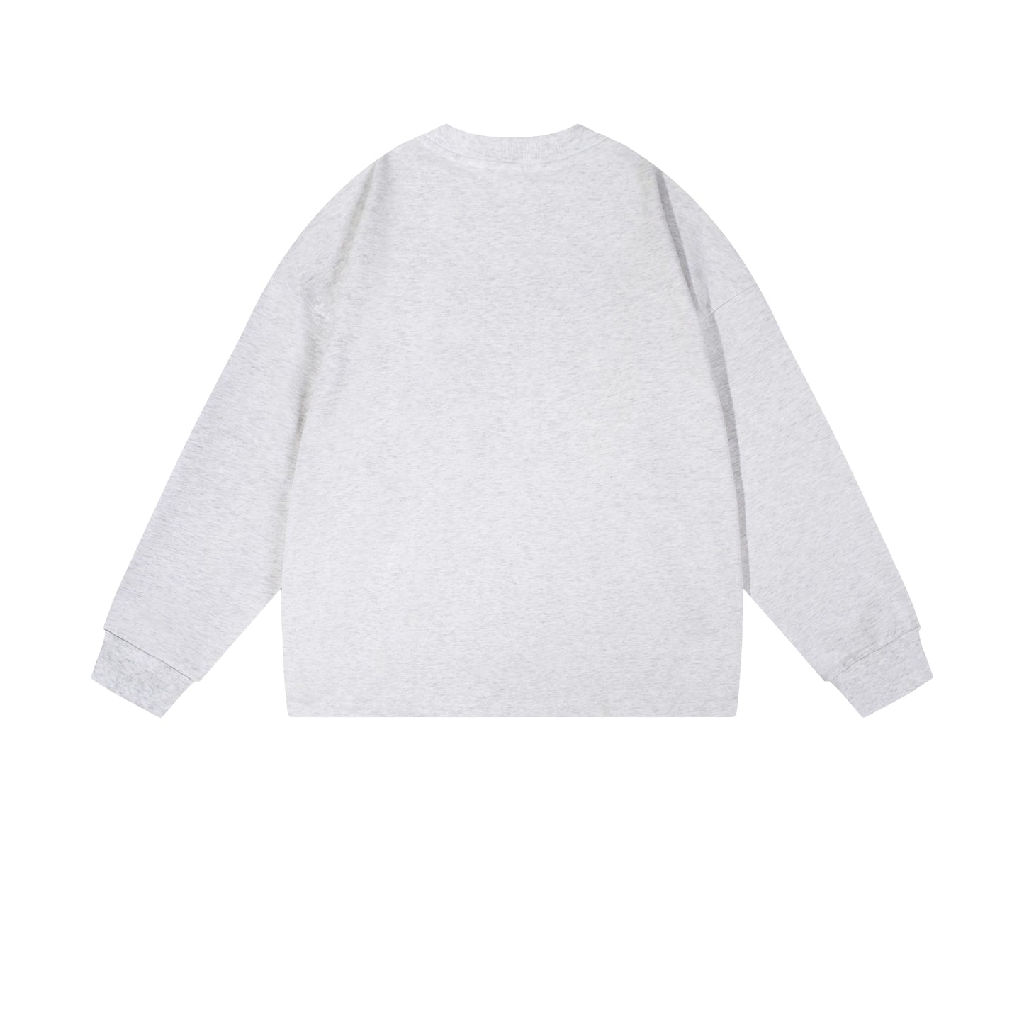Heavy 350gsm Long Sleeve Earths T-Shirt - Adult