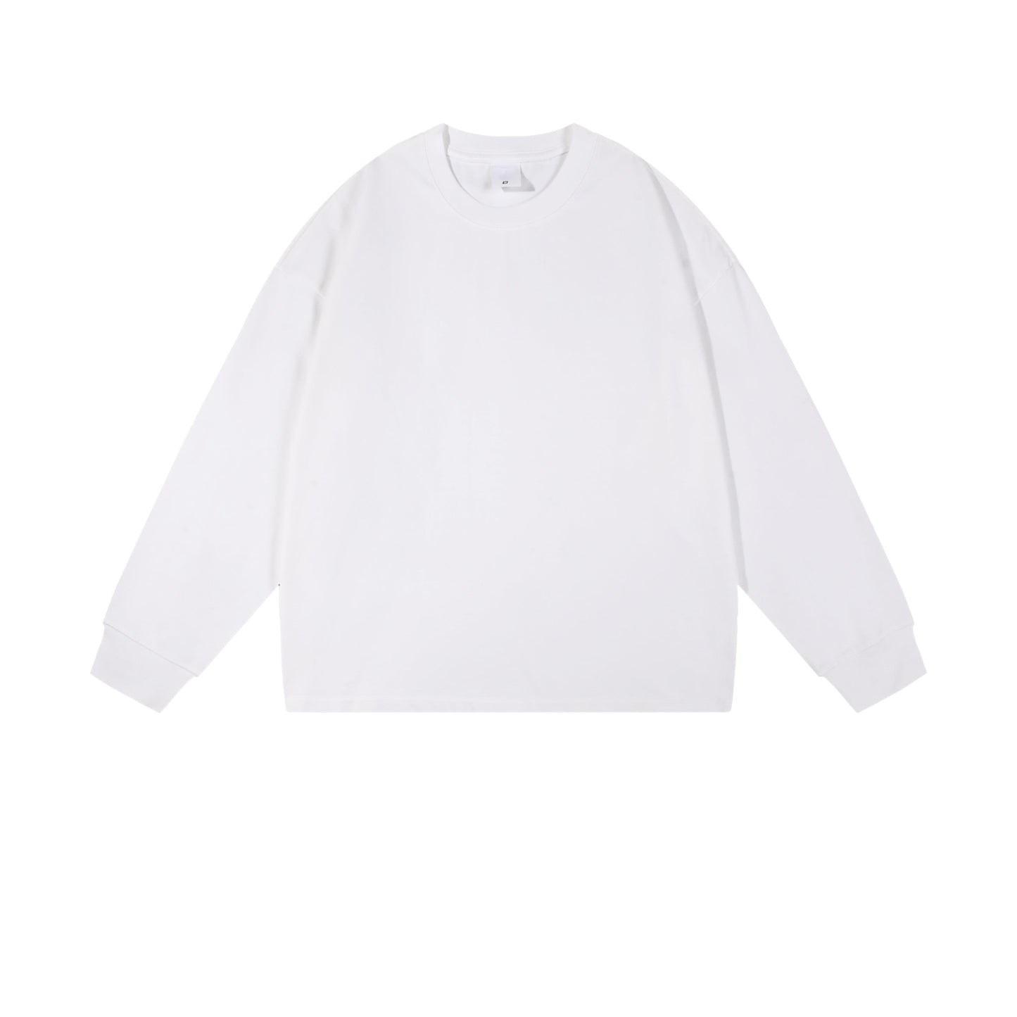 Heavy 350gsm Long Sleeve Earths T-Shirt - Adult