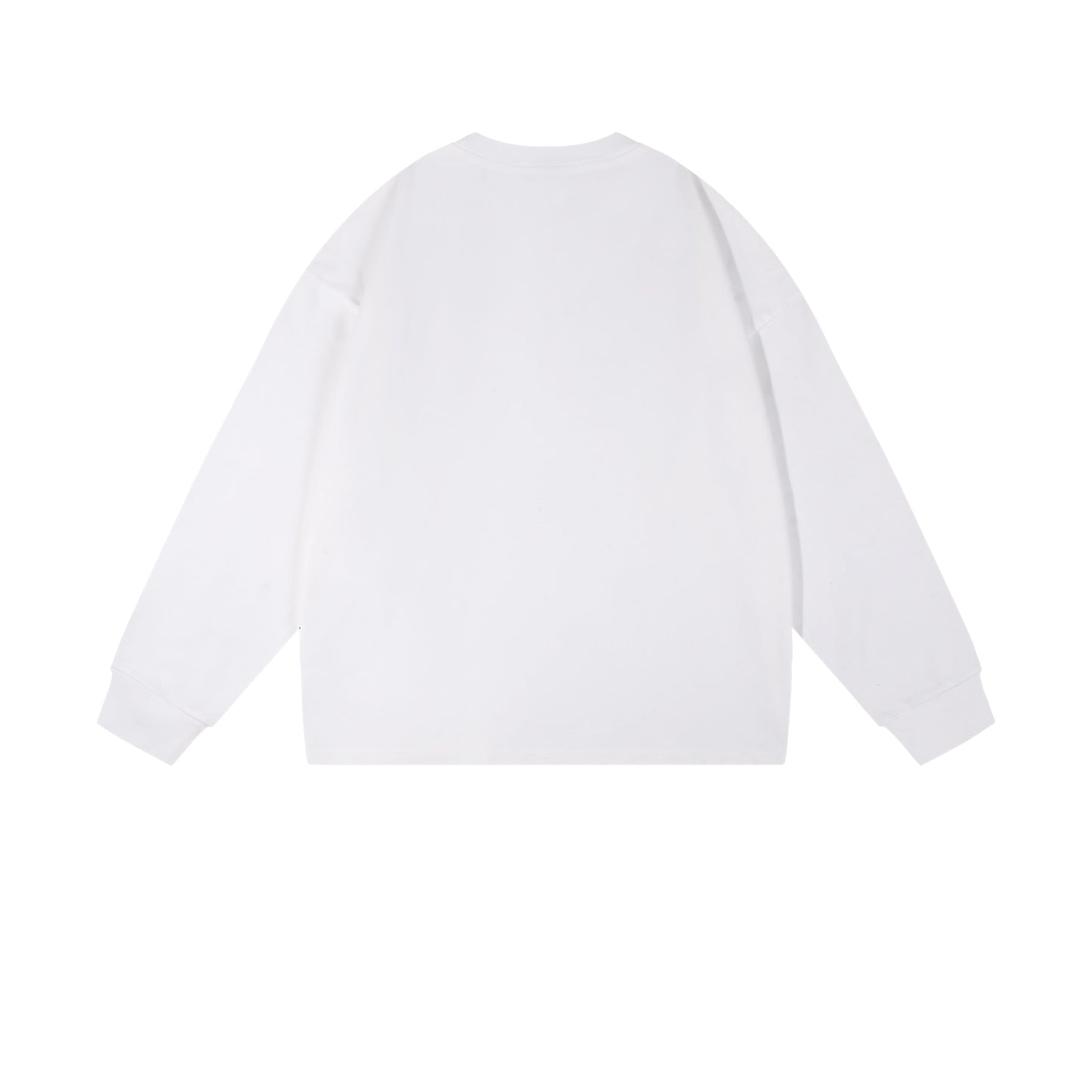 Heavy 350gsm Long Sleeve Earths T-Shirt - Adult