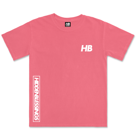 Hidden Blessings Watermelon Heavy Tee